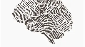 El paradigma de la neurodiversidad