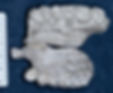 KP 29283 maxilla halves articulated