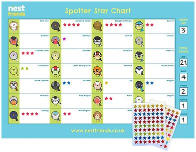 Star-Chart-Shop.png