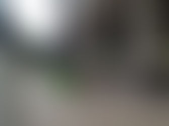 A ramp to improve access and provide storage for bikes