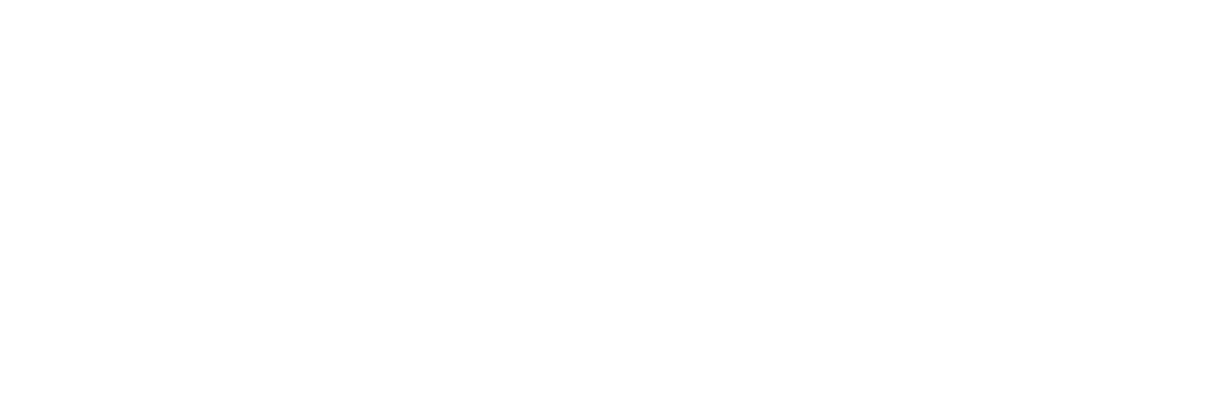 Soar Stem School logo