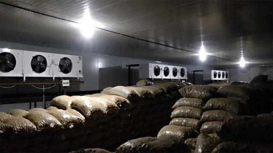 Multi Commodity Cold Storage