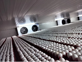 Egg Cold Storage