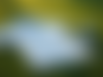 Essential Golf Clothing for Stylish Performance