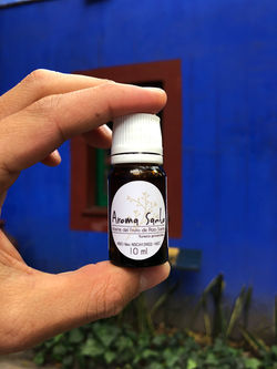 Foto 22-3-19 2 54 57 p. m.