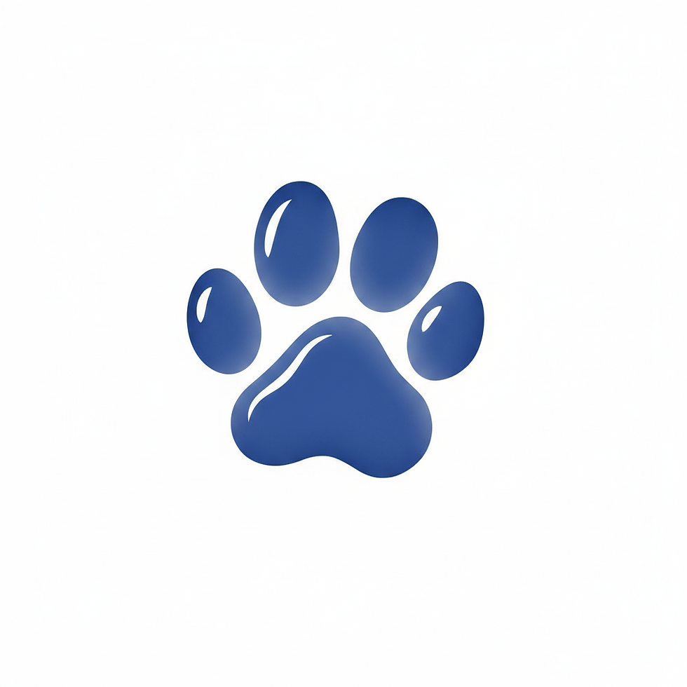 cartoon paw print tilted 45 degrees and blue outline.jpg