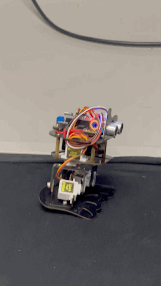 IMG_9921.GIF