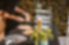 F4324623-276D-445C-BADF-10E06937279C.jpeg