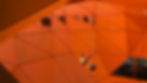 cardinal_groupe-min.jpg