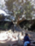 manon-corneille-communication_edited.jpg