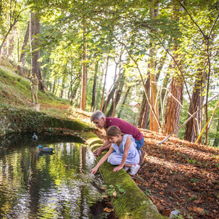 foret-chateau-teyssier-de-savy