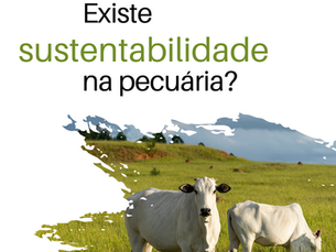 Existe sustentabilidade na pecuária?