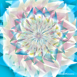 pinkgreen-shiny-liliy