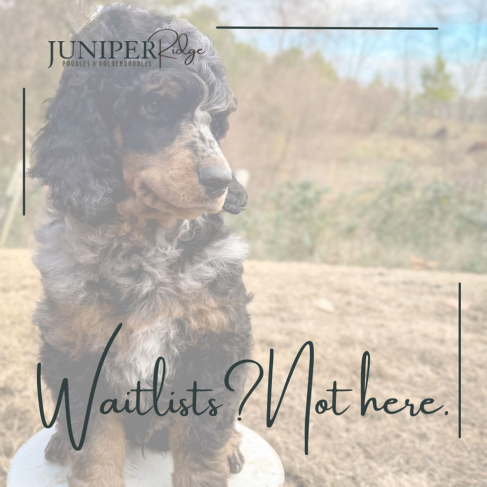 Waitlists? Not here.