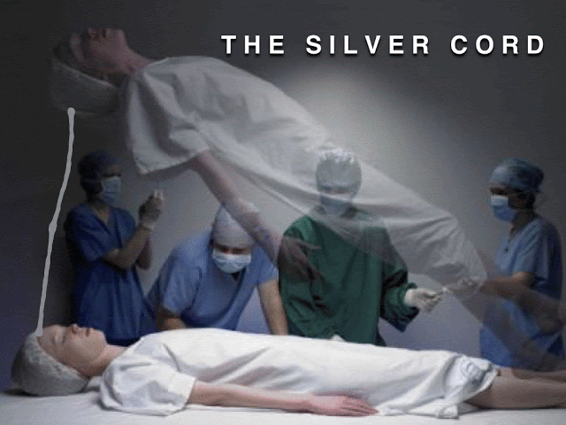 sil.gif