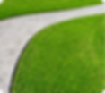 image (18).png