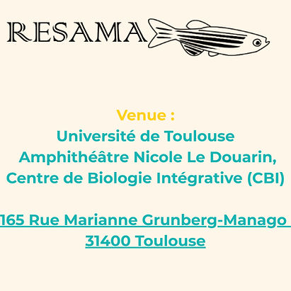 Venue Resama (1).jpg