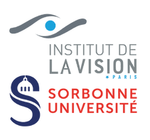 Institut de la vision.png