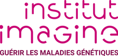 logo-institut-imagine-rose.png