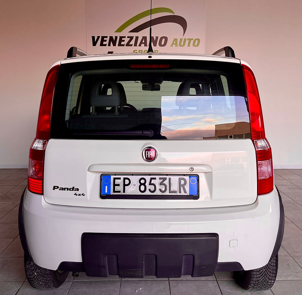 Miniatura: Fiat Panda 1.2 4x4 Climbing