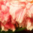 I love #peonies but they wilt so fast!