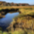 fall's my favorite #capecod #color #fall #ocean #scortoncreek #marsh #landscape #picoftheday
