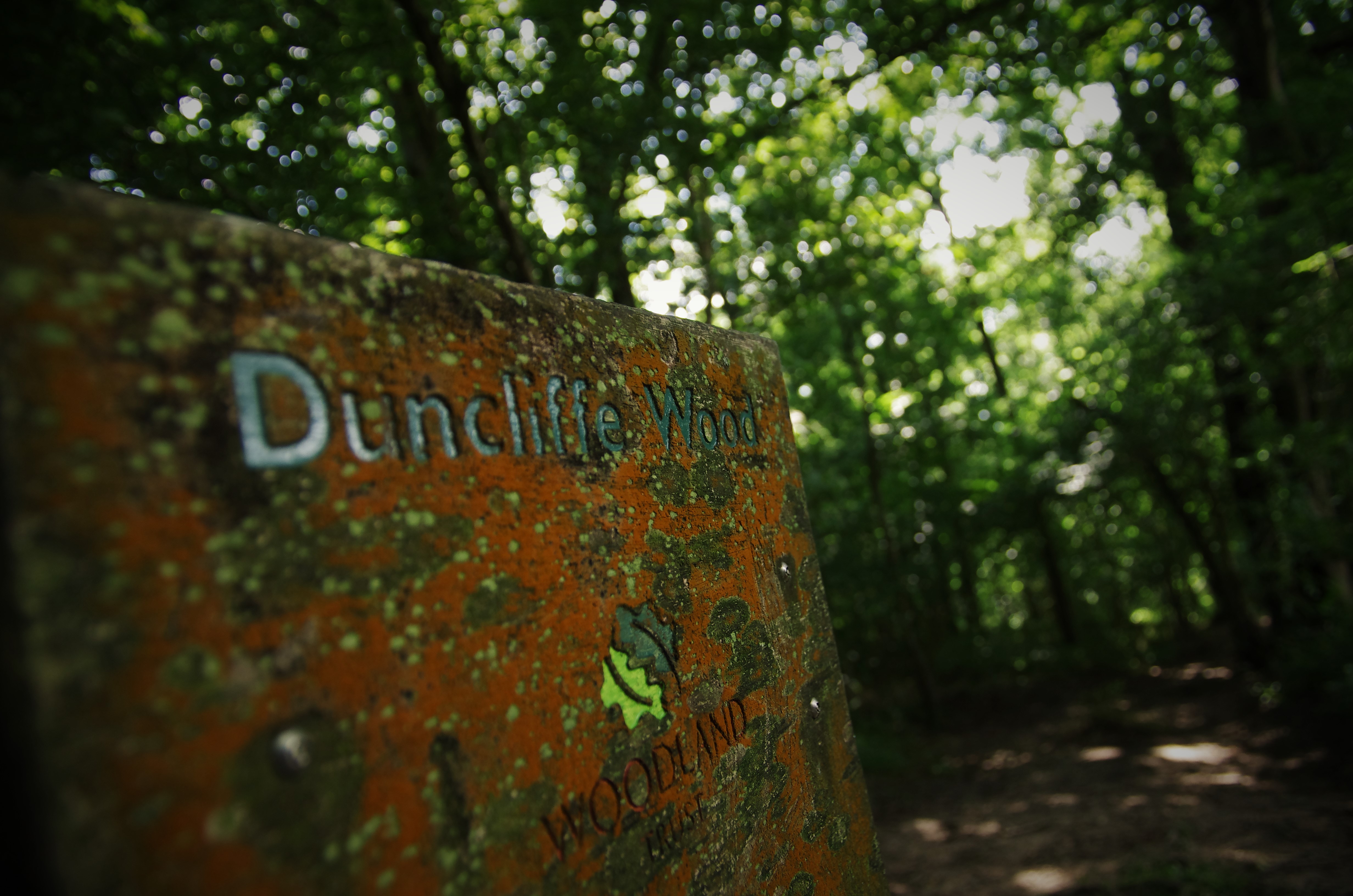 Duncliffe Hill