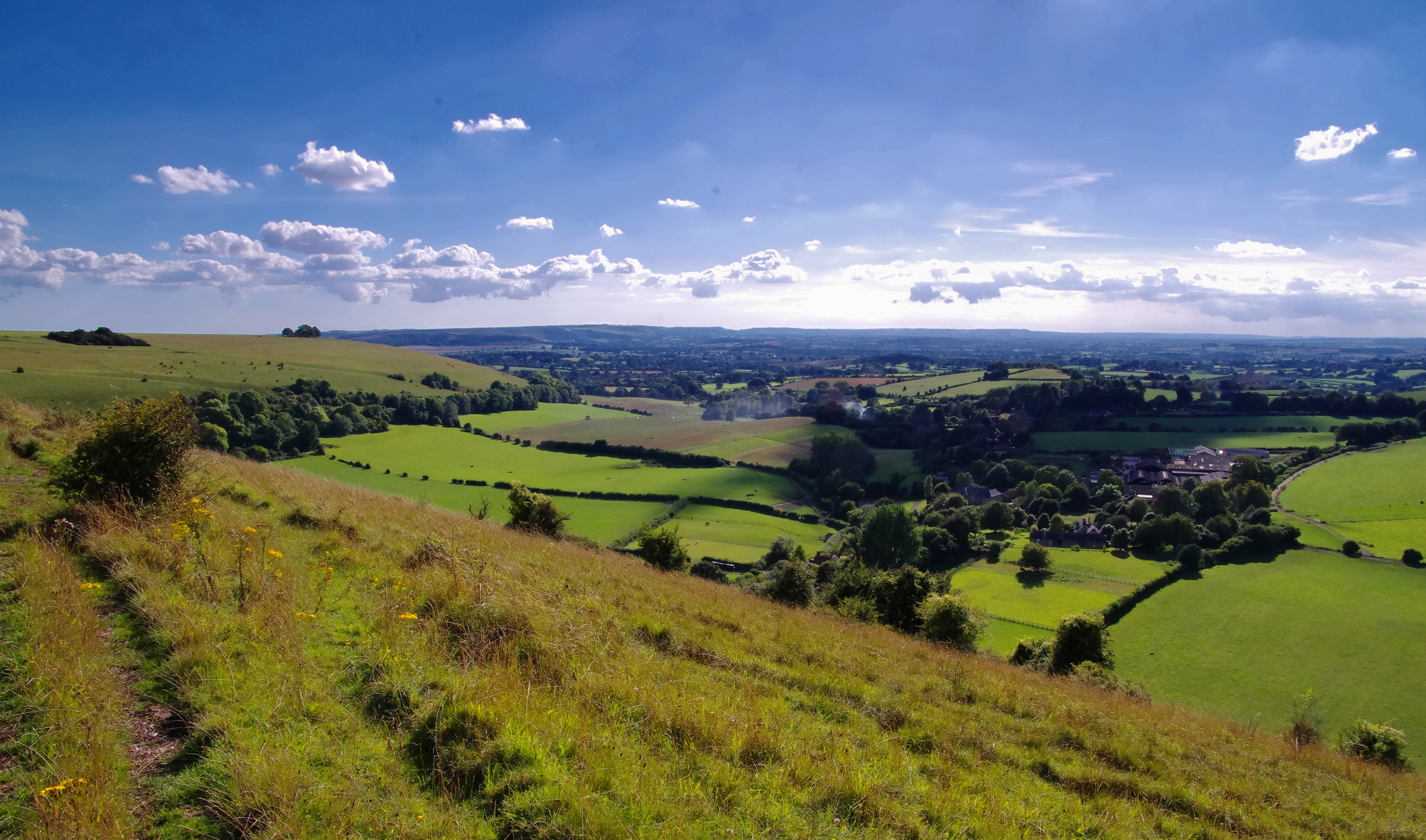 Clubmen Down with Compton Abbas in valley, home of Reverend Thomas Bravel.