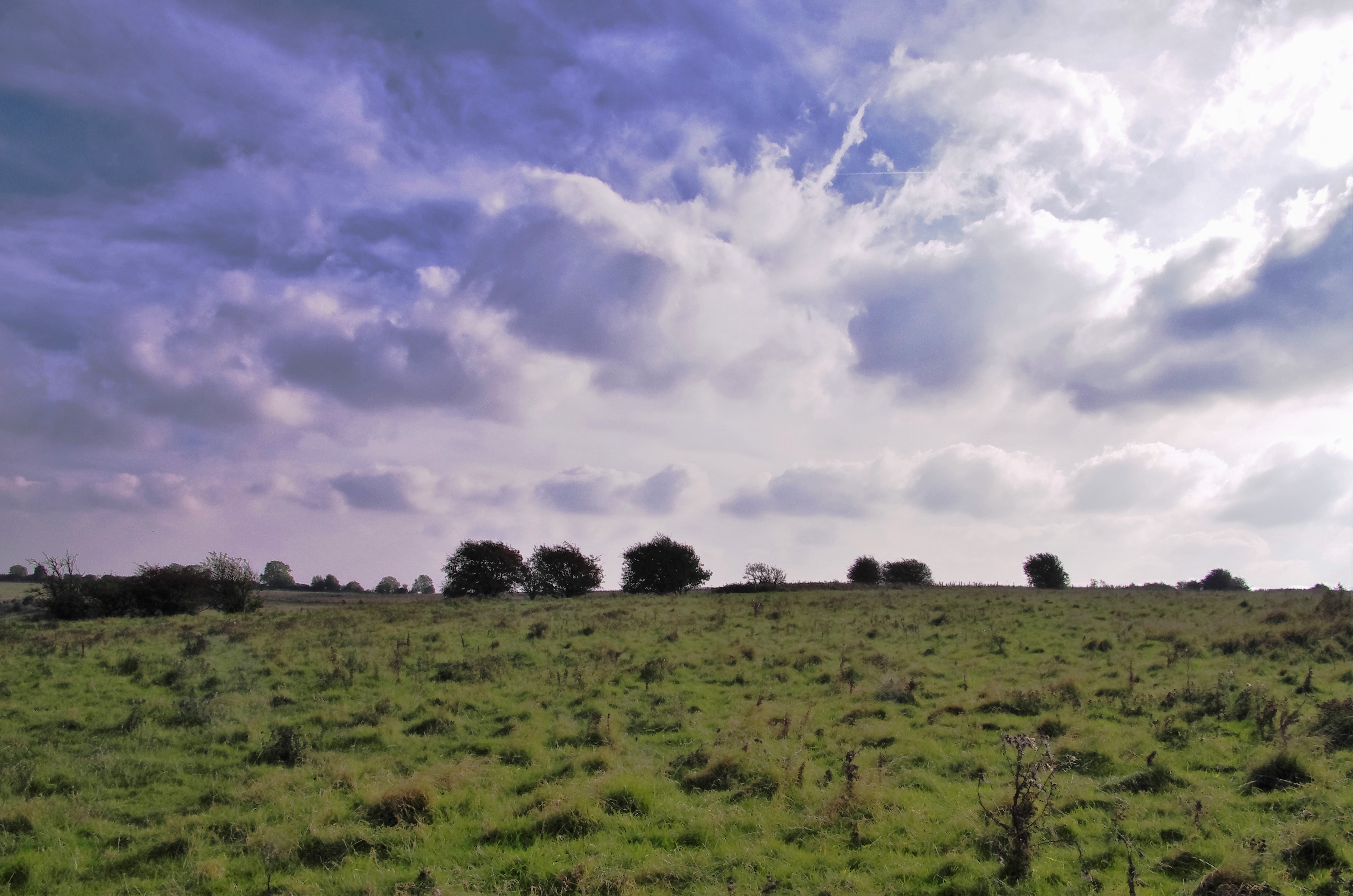 Buxbury hill where was held a rendezvous of Wiltshire clubmen.'.