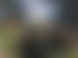 Fresh beginnings to 2023!