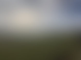 The Great Thaw, February 2021