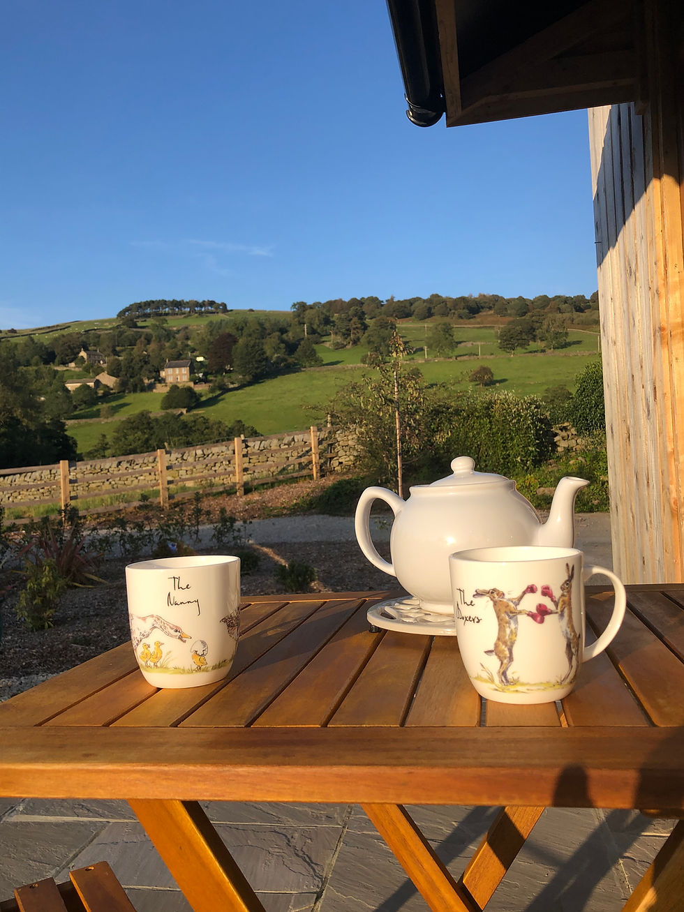 Tea with a hill view at River View Sanctuary