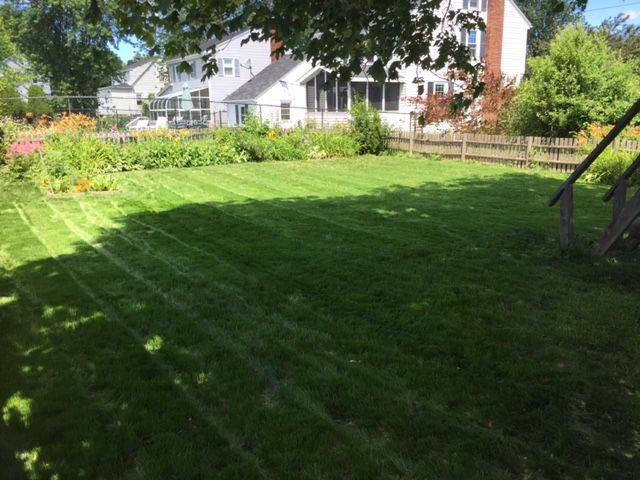 After Lawn Installation