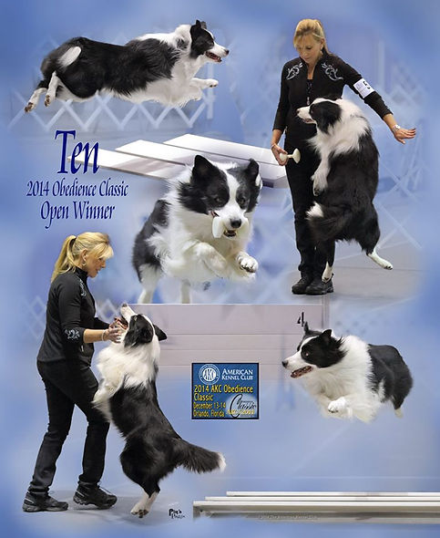 tencollage1.jpg