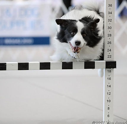 tenjump.jpg