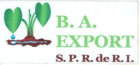 ba export facture 001.jpg