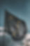 pexels-eberhard-grossgasteiger-1743364.jpg