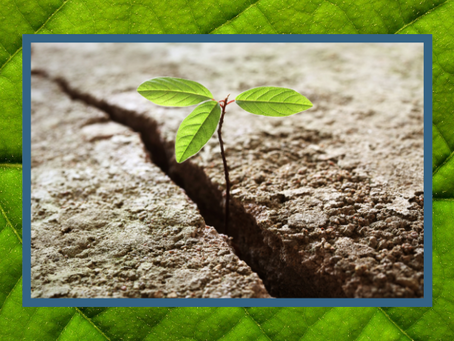 Leaning into hope.   Amo Mogale