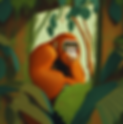 Animal Series - Jungle Animals Manuscript (1).png