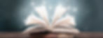 OV lIBRARY_edited_edited.jpg