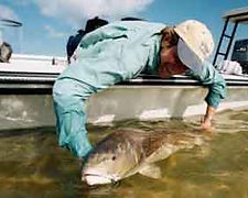 5 star accomodations, Outdoor vacations
