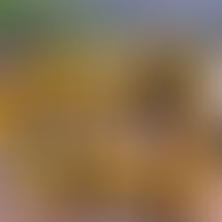 結婚応援イベント『未来予想図Ⅴ』開催