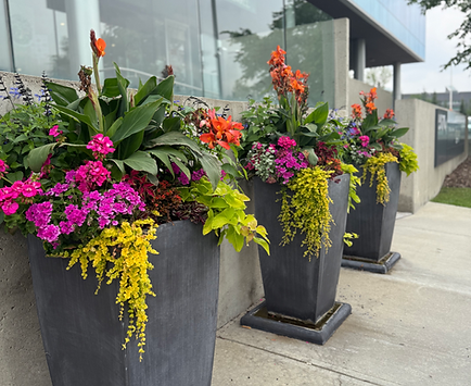 Corporate planters