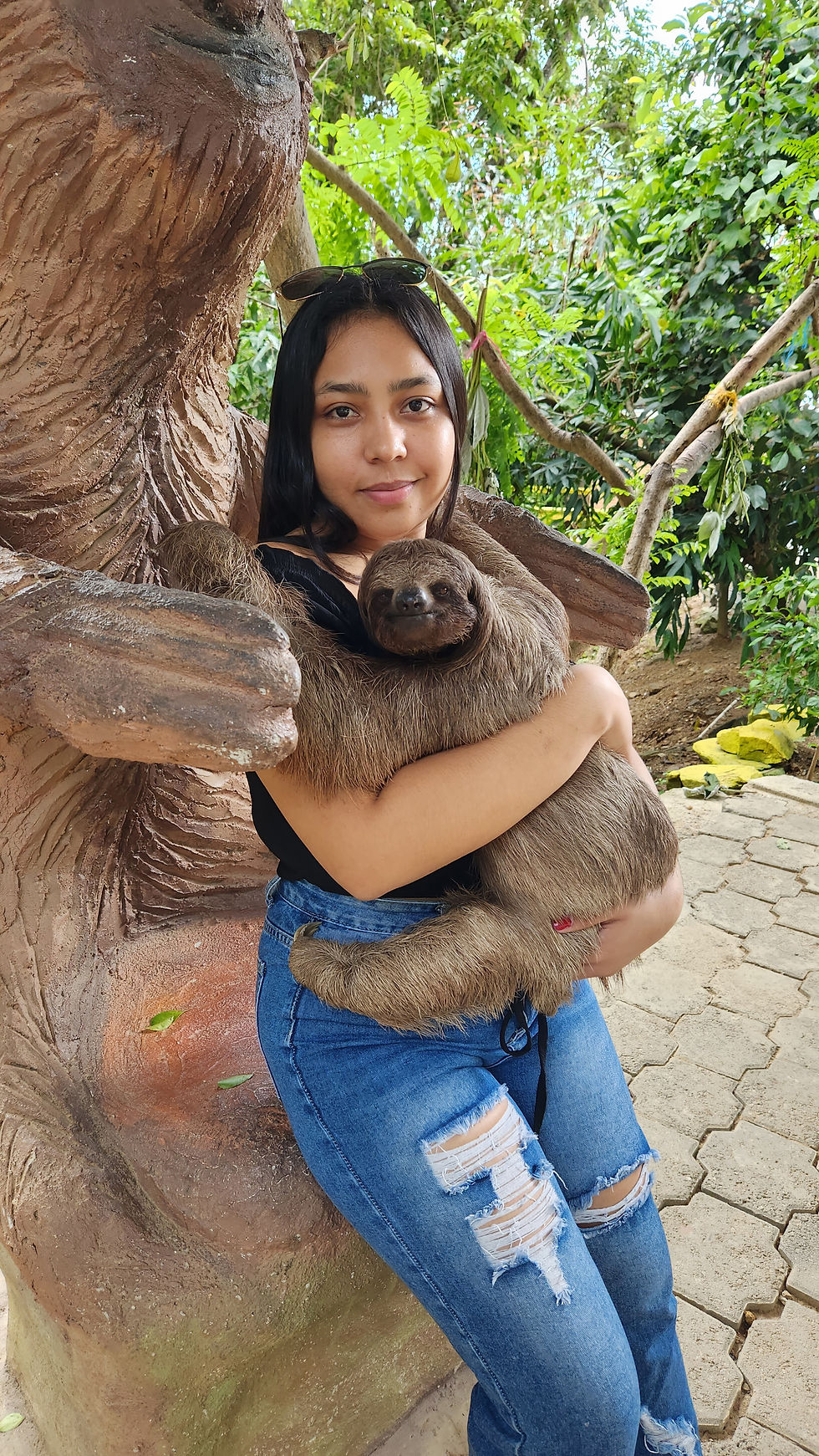 Sloths and monkey hangout