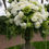 Thumbnail: Signature Classic Faux Floral Arrangement