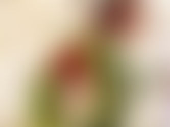 Christmas at Citrico