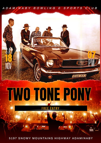 Adaminiby Poster dj live party flyer.jpg