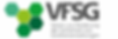 Logo_VFSG_Website Header.png