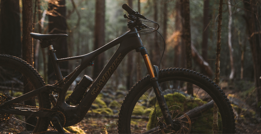 Specialized Turbo Levo SL