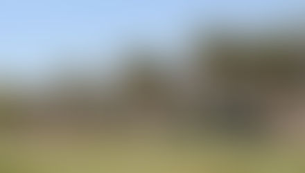Portrait Location